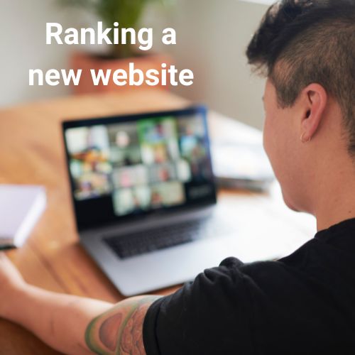 back of person looking at a laptop screen for an online meeting