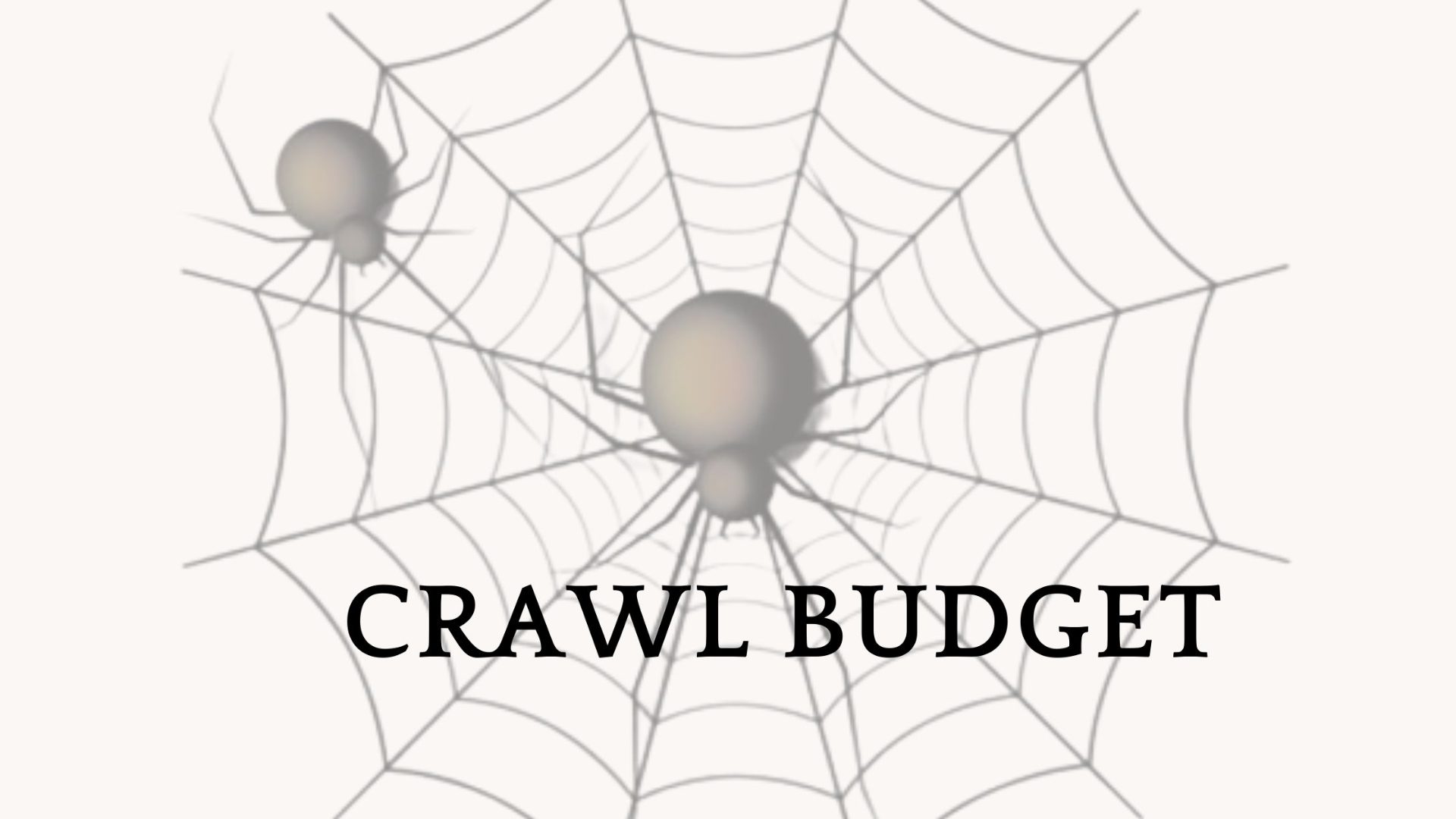 An illustration of two spiders on a web with the term "CRAWL BUDGET".