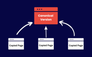 picture explaining canonical tags